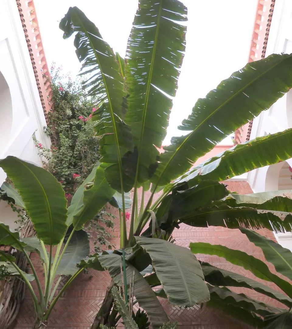 Riad Habib Marrakesh